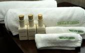 Туры в отель Terrace Green Hotel & Spa