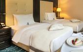 Туры в отель Crown Plaza Borjomi