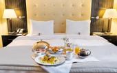Туры в отель Crown Plaza Borjomi