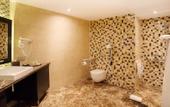 Туры в отель Crown Plaza Borjomi