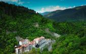 Туры в отель Crown Plaza Borjomi