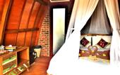 Туры в отель Balangan Sea View Bungalow