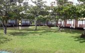 Туры в отель South Lake Resort Koggala