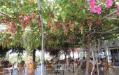 Туры в отель Corfu Hotel