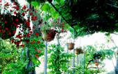 Туры в отель Corfu Club Hotel