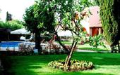 Туры в отель Corfu Club Hotel