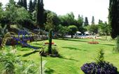Туры в отель Corfu Club Hotel