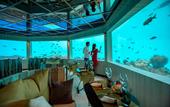 Туры в отель Ozen Life Maadhoo