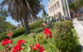 Туры в отель Corfu Palace
